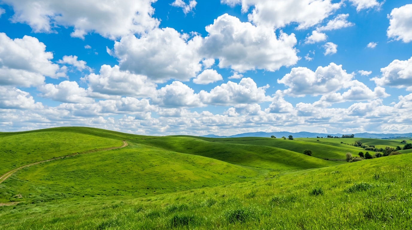 Windows XP Startup